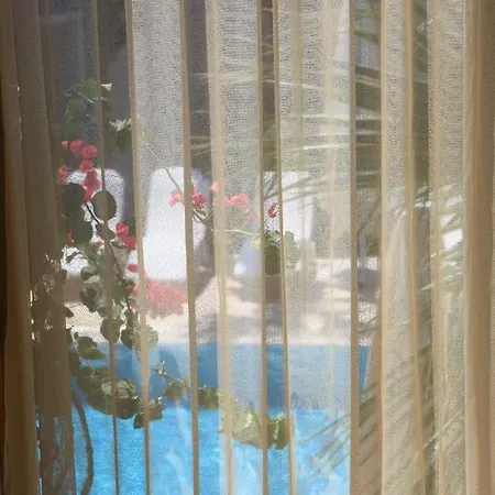 Catamaran Gundogan (Bodrum)